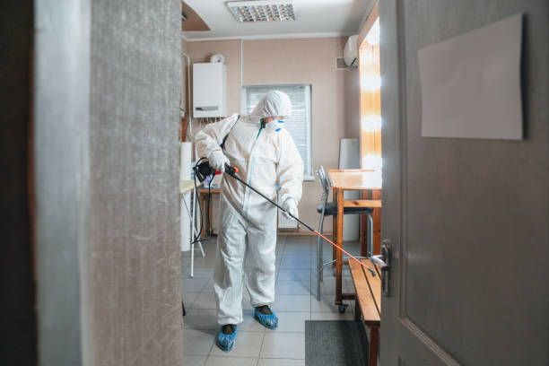 Best Airborne Mold Testing  in Roseland, NJ