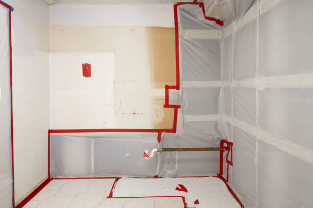 Best Mold Odor Removal Services  in Roseland, NJ
