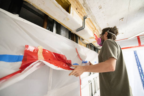 Roseland, NJ Mold Removal Company