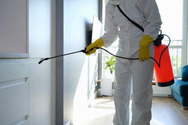 Best HVAC Mold Inspection and Cleaning  in Roseland, NJ