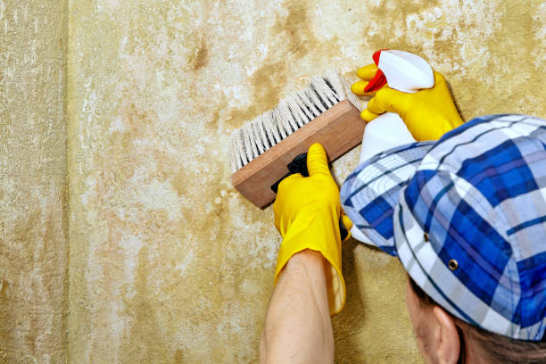 Best Biohazard Mold Removal  in Roseland, NJ