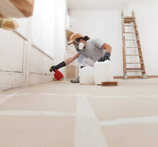 Best Attic Mold Removal  in Roseland, NJ