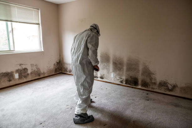 Best Forensic Mold Investigation  in Roseland, NJ